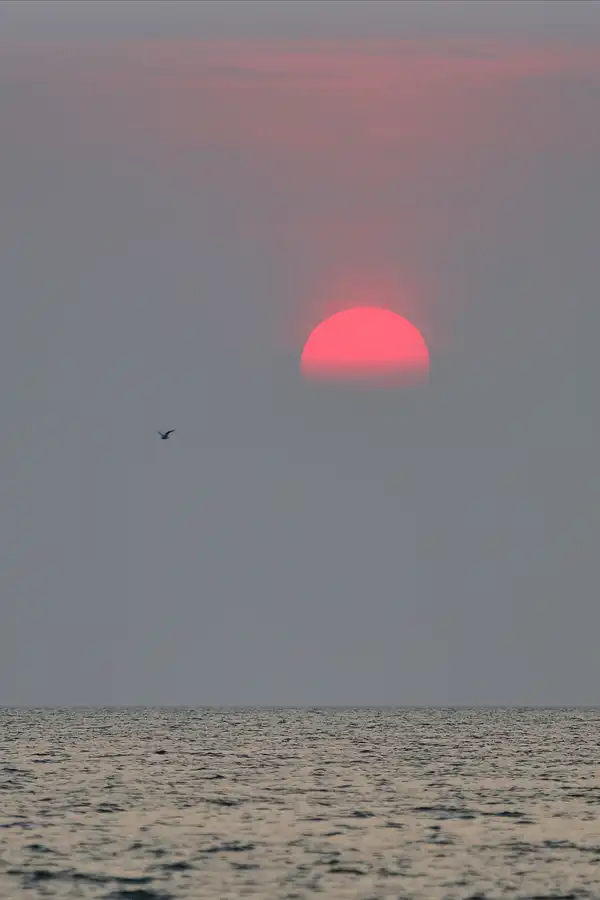 032 | 2018 | Sankt Peter-Ording | Strandparkplatz Ording Nord | © carsten riede fotografie