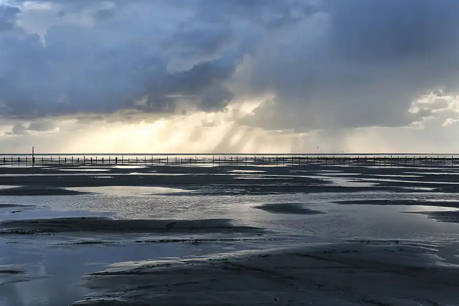 052 | 2018 | Sankt Peter-Ording | Strandparkplatz Böhl | © carsten riede fotografie