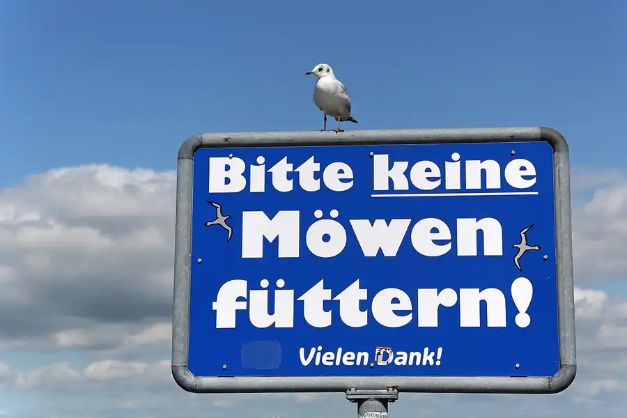 081 | 2018 | Eider-Sperrwerk | © carsten riede fotografie