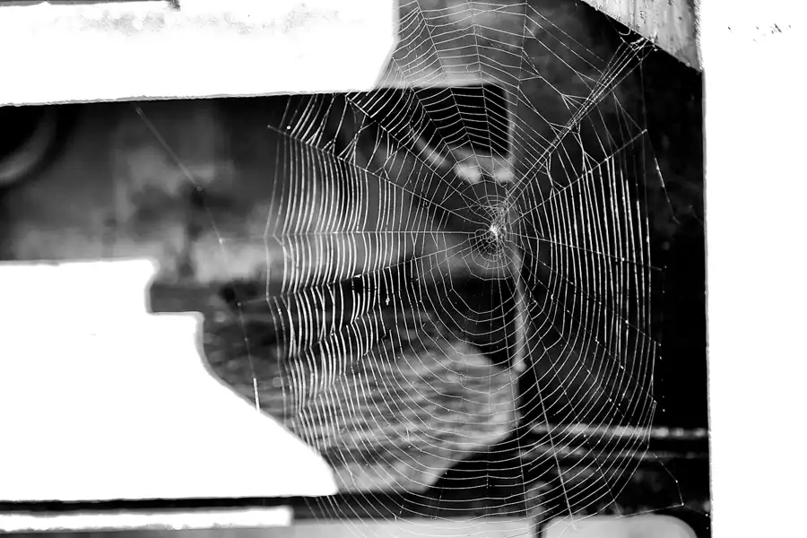 023 | 2018 | Falkenberg/Elster | Loksammlung Falkenberg | © carsten riede fotografie