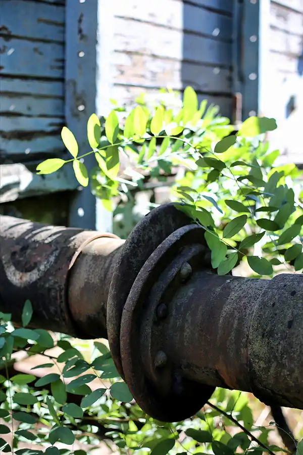 045 | 2018 | Falkenberg/Elster | Loksammlung Falkenberg | © carsten riede fotografie