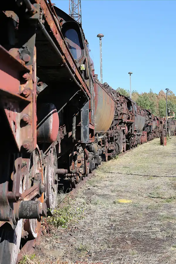 075 | 2018 | Falkenberg/Elster | Loksammlung Falkenberg | © carsten riede fotografie