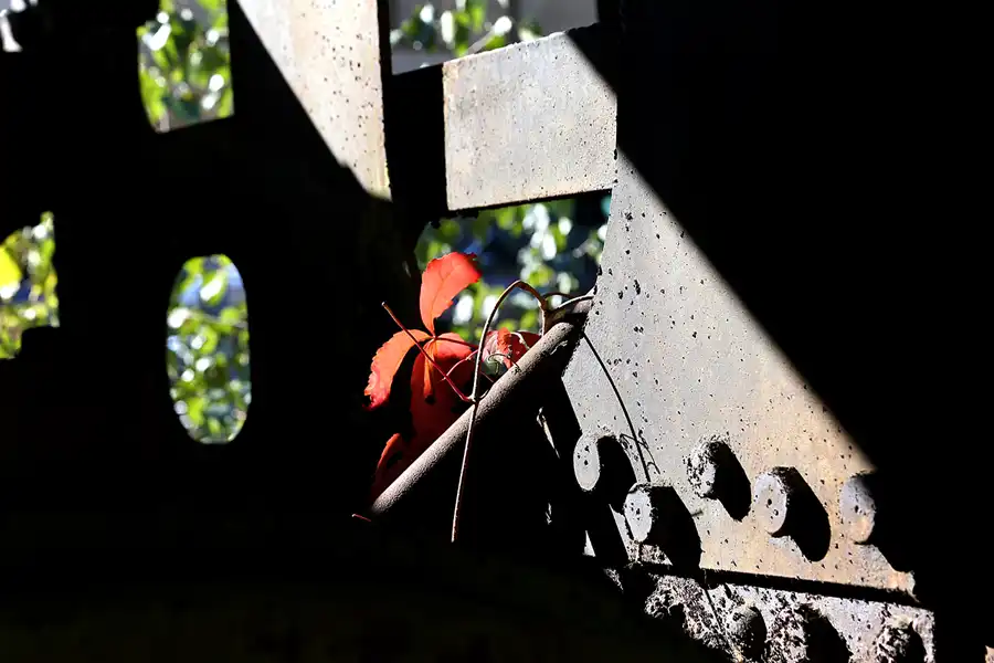 114 | 2018 | Falkenberg/Elster | Loksammlung Falkenberg | © carsten riede fotografie