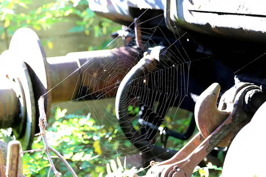 117 | 2018 | Falkenberg/Elster | Loksammlung Falkenberg | © carsten riede fotografie