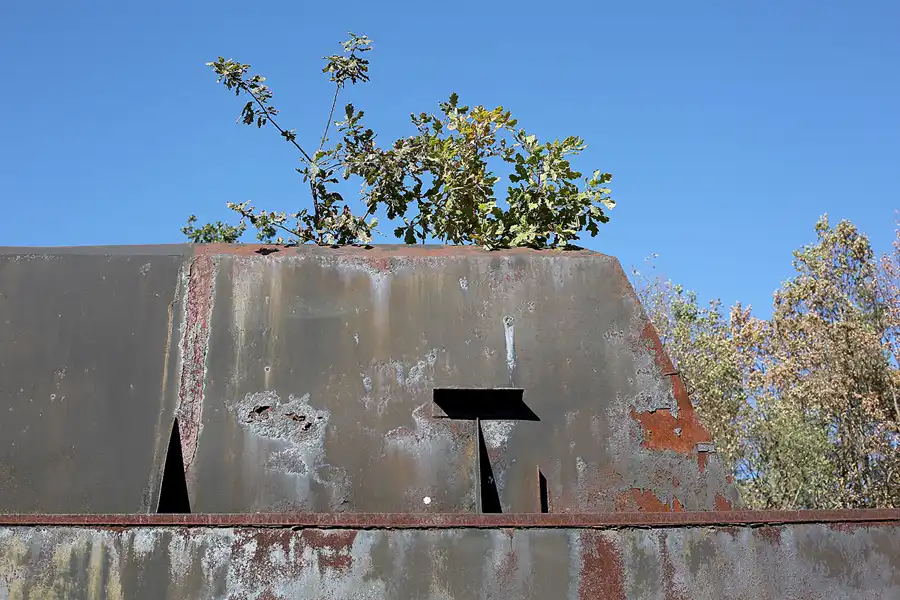 124 | 2018 | Falkenberg/Elster | Loksammlung Falkenberg | © carsten riede fotografie