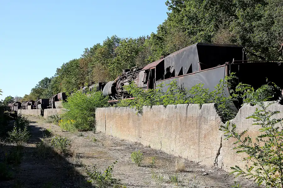 131 | 2018 | Falkenberg/Elster | Loksammlung Falkenberg | © carsten riede fotografie