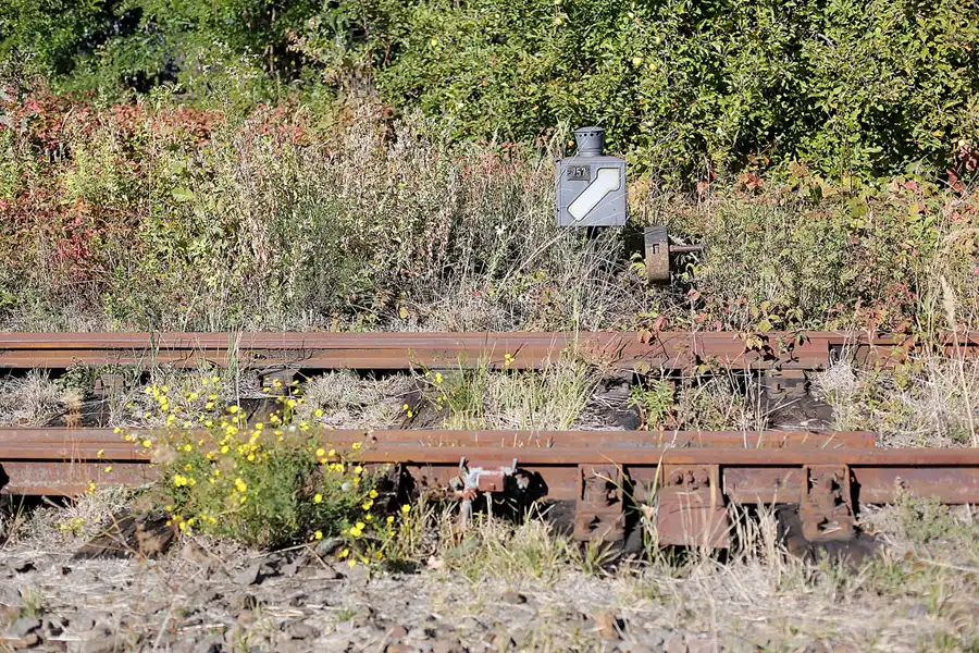 142 | 2018 | Falkenberg/Elster | Loksammlung Falkenberg | © carsten riede fotografie