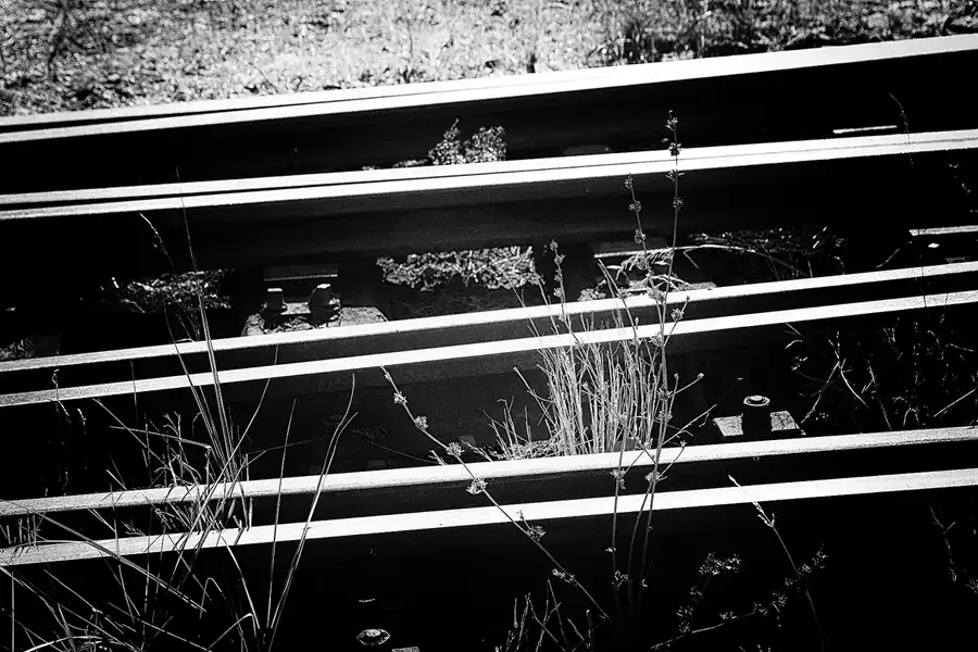 144 | 2018 | Falkenberg/Elster | Loksammlung Falkenberg | © carsten riede fotografie