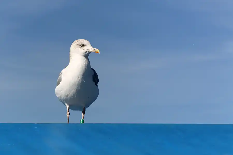 065 | 2018 | Hansestadt Wismar | © carsten riede fotografie