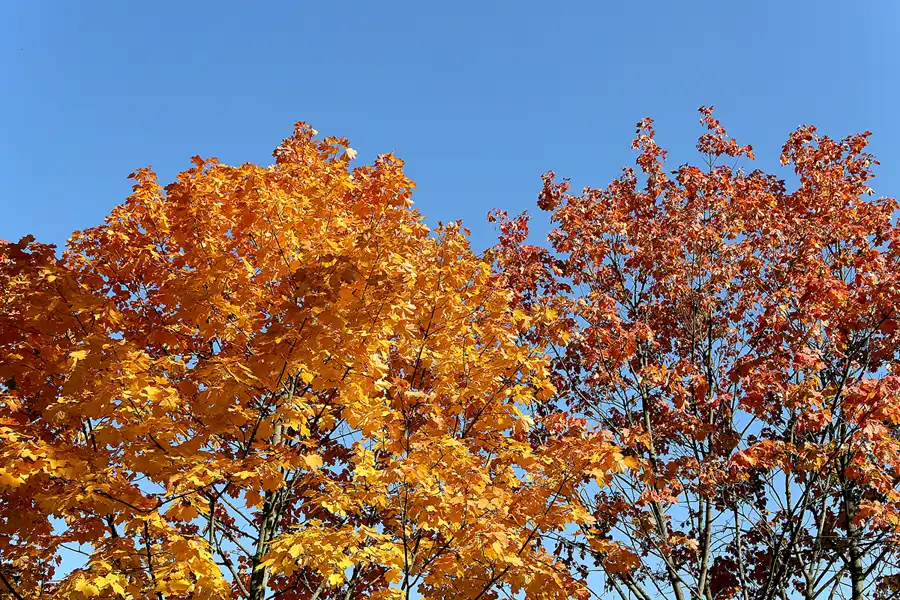 016 | 2018 | Berlin | Königin Elisabeth Herzberge | © carsten riede fotografie