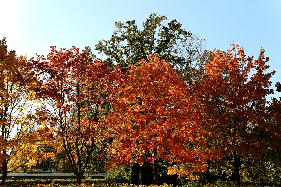 024 | 2018 | Berlin | Königin Elisabeth Herzberge | © carsten riede fotografie