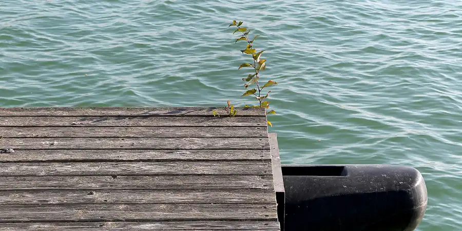 011 | 2018 | Störmthaler See | Vineta auf dem Störmthaler See | © carsten riede fotografie