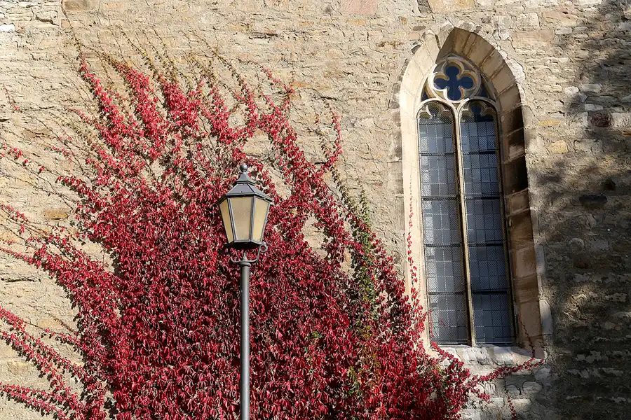 030 | 2018 | Merseburg | © carsten riede fotografie
