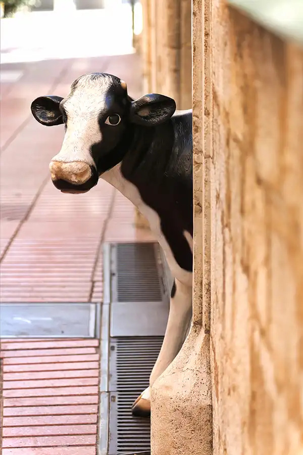 073 | 2019 | Figueres | © carsten riede fotografie