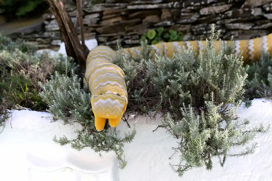 111 | 2019 | Portlligat | Casa Salvador Dali | © carsten riede fotografie