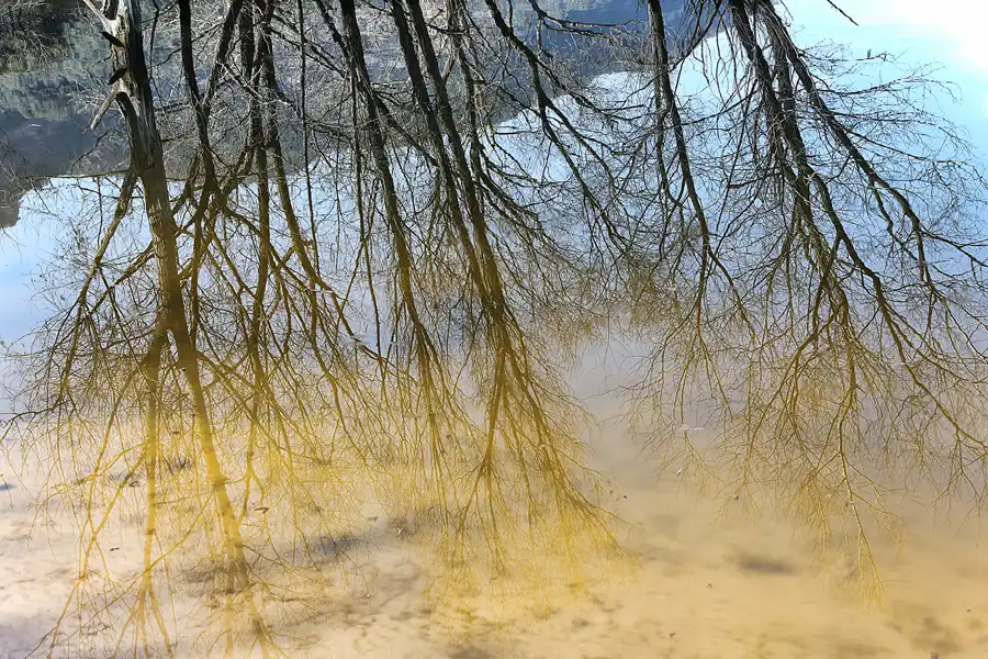 019 | 2019 | Pantà De Sau | © carsten riede fotografie