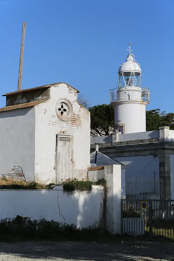 058 | 2019 | Roses | Far De Roses | © carsten riede fotografie