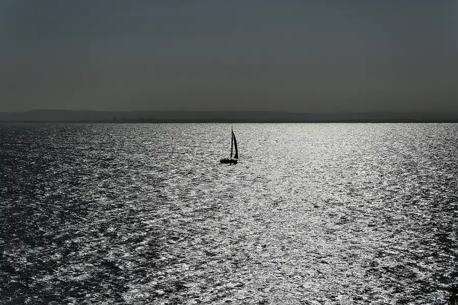 065 | 2019 | Roses | © carsten riede fotografie