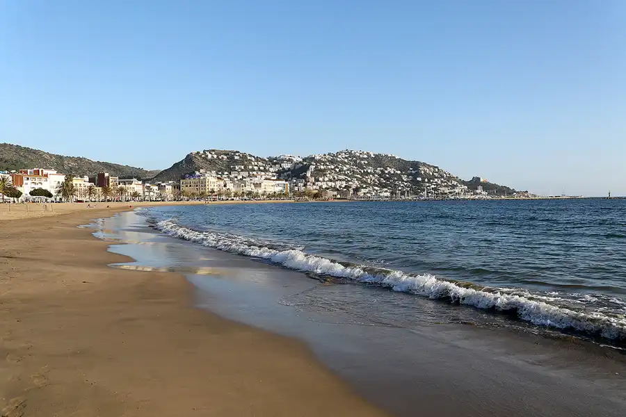 070 | 2019 | Roses | © carsten riede fotografie