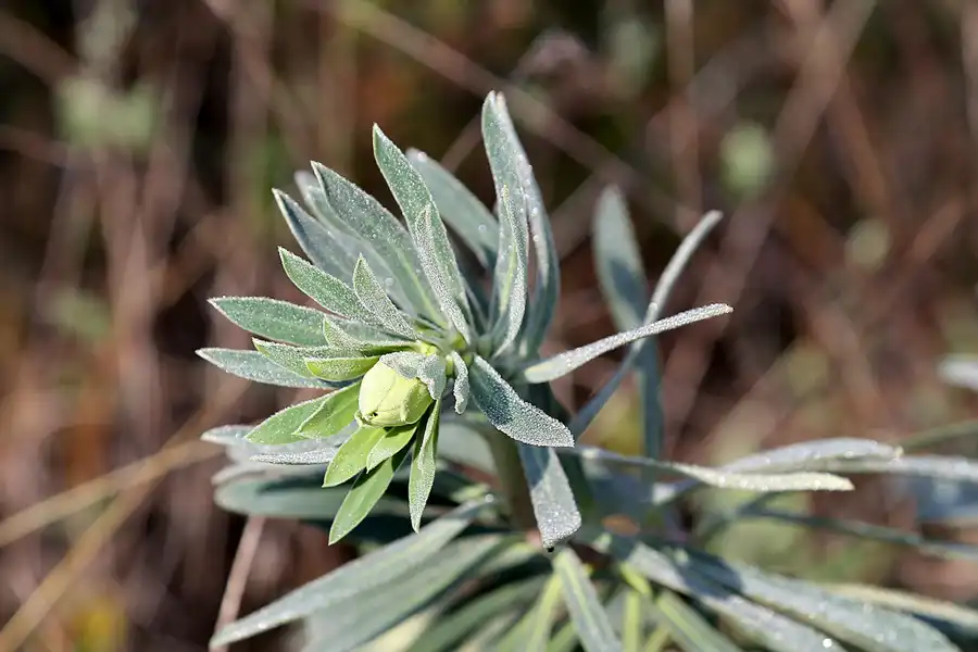 103 | 2019 | Tarragona | © carsten riede fotografie