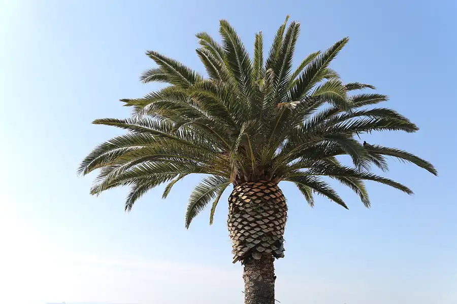 110 | 2019 | Tarragona | © carsten riede fotografie