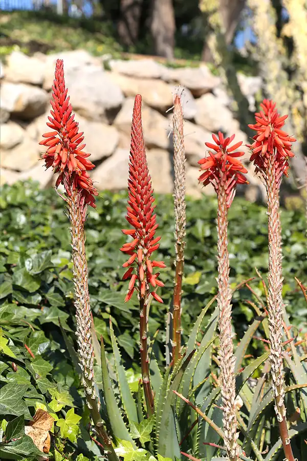 111 | 2019 | Tarragona | © carsten riede fotografie