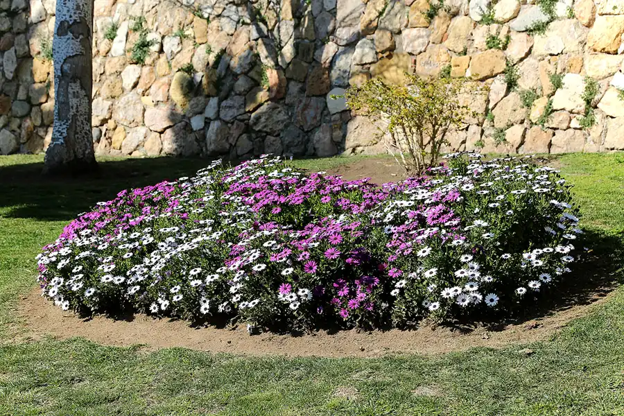 123 | 2019 | Tarragona | © carsten riede fotografie