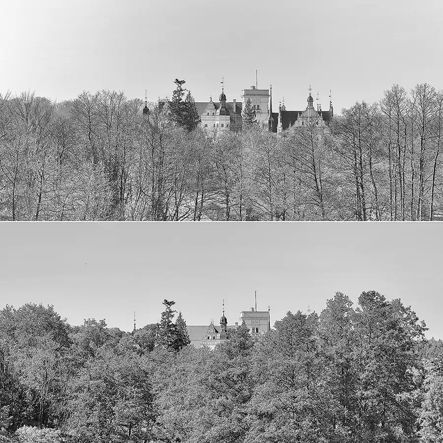 058 | 2019 | Boitzenburg | Schloss Boitzenburg – 30.03.2019 vs. 29.05.2019 | © carsten riede fotografie