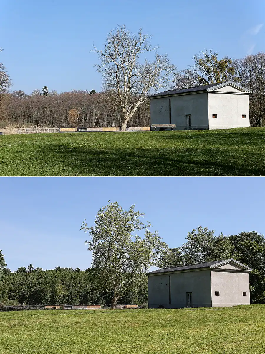060 | 2019 | Boitzenburg | Küchenteich – 30.03.2019 vs. 29.05.2019 | © carsten riede fotografie