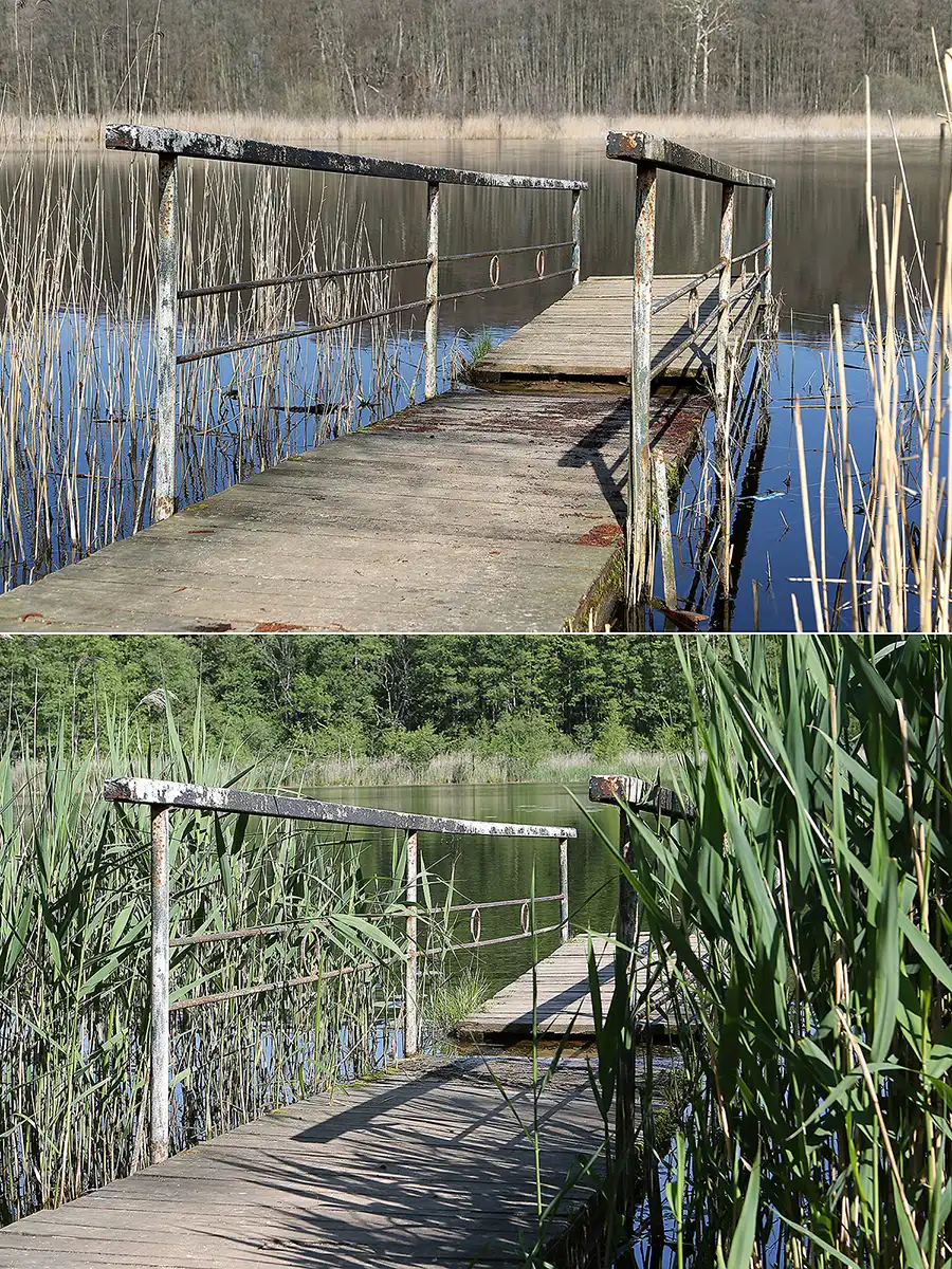 062 | 2019 | Boitzenburg | Küchenteich – 30.03.2019 vs. 29.05.2019 | © carsten riede fotografie