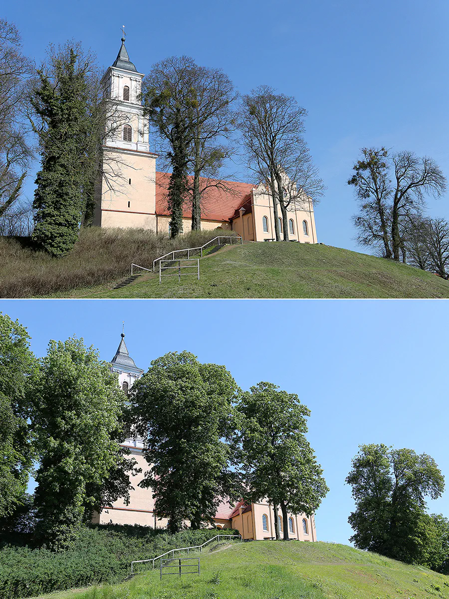 063 | 2019 | Boitzenburg | Pfarrkirche Sankt Marien auf dem Berge – 30.03.2019 vs. 29.05.2019 | © carsten riede fotografie