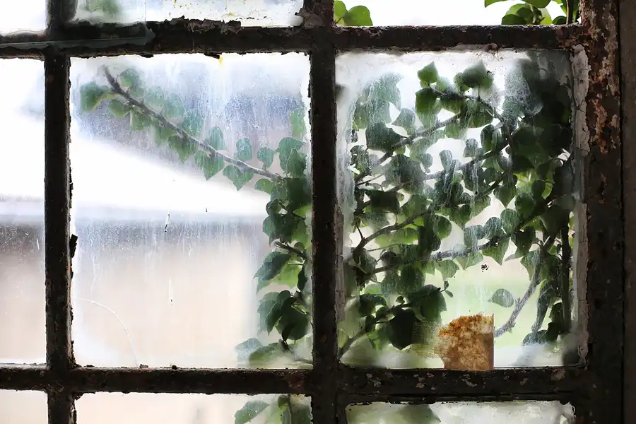 054 | 2019 | Hohenofen | VEB Feinpapierfabriken Neu Kaliss – Werk Hohenofen | Patent Papierfabrik | © carsten riede fotografie