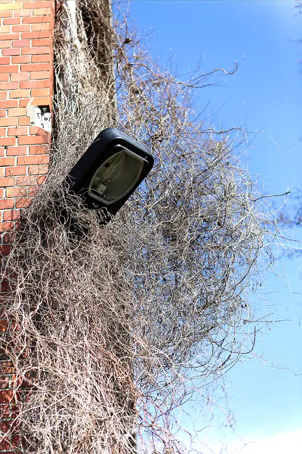 086 | 2019 | Hohenofen | VEB Feinpapierfabriken Neu Kaliss – Werk Hohenofen | Patent Papierfabrik | © carsten riede fotografie