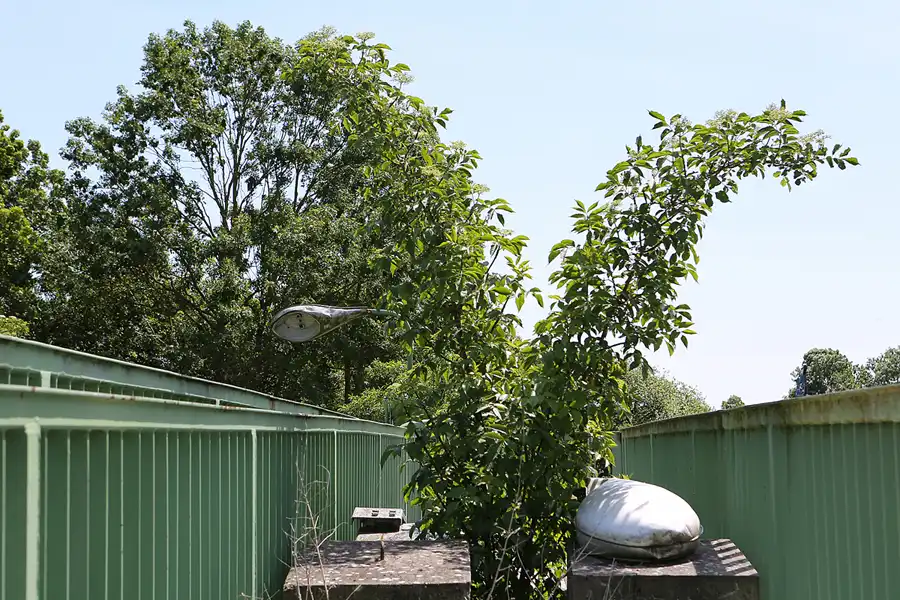 059 | 2019 | Gramzow | Brandenburgisches Museum für Klein- und Privatbahnen | © carsten riede fotografie