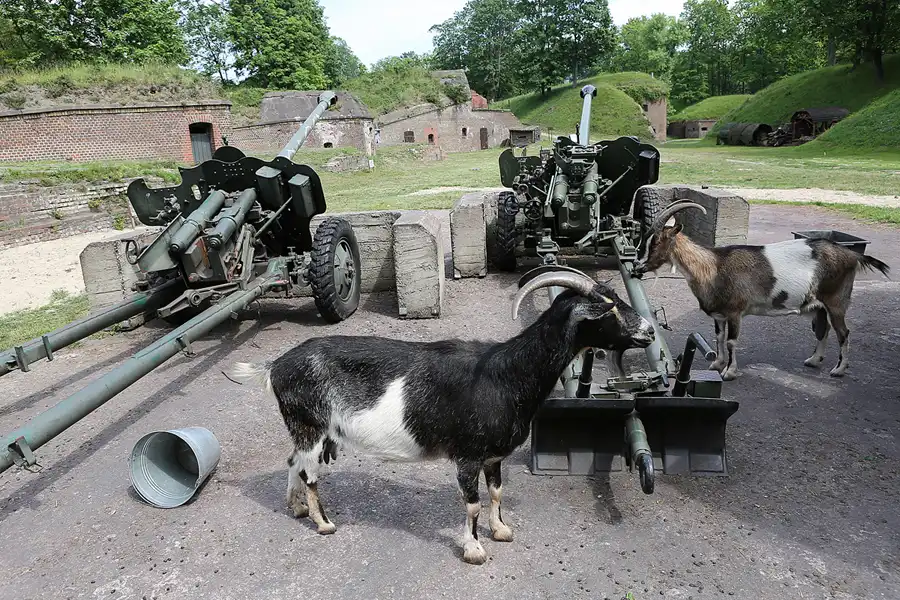013 | 2019 | Swinemünde | Fort Gerharda | © carsten riede fotografie