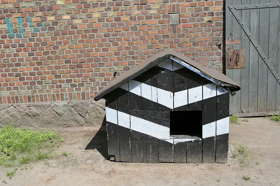 029 | 2019 | Swinemünde | Fort Gerharda | © carsten riede fotografie