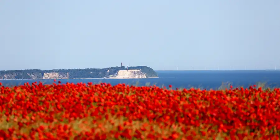 001 | 2019 | Bisdamitz | Blick nach Kap Arkona | © carsten riede fotografie