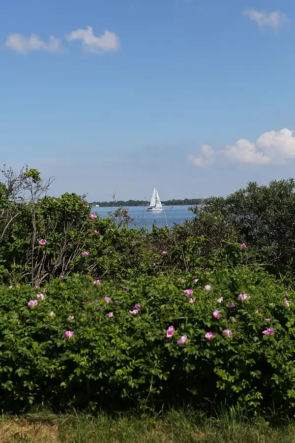 004 | 2019 | Dranske | © carsten riede fotografie