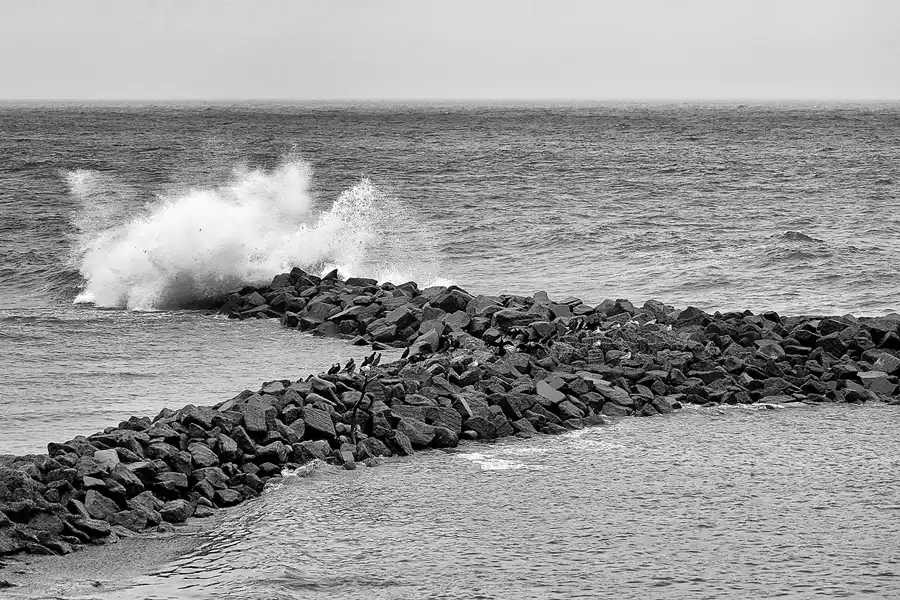 010 | 2019 | Lohme | © carsten riede fotografie