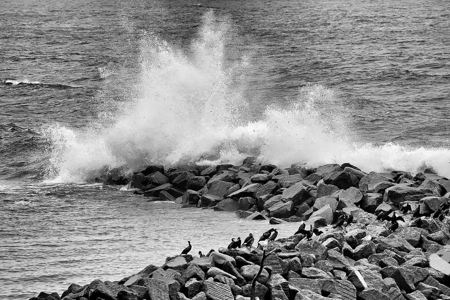 011 | 2019 | Lohme | © carsten riede fotografie