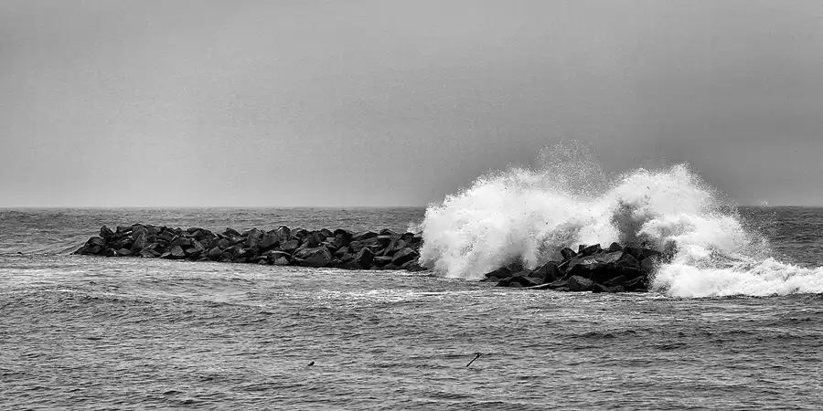 012 | 2019 | Lohme | © carsten riede fotografie