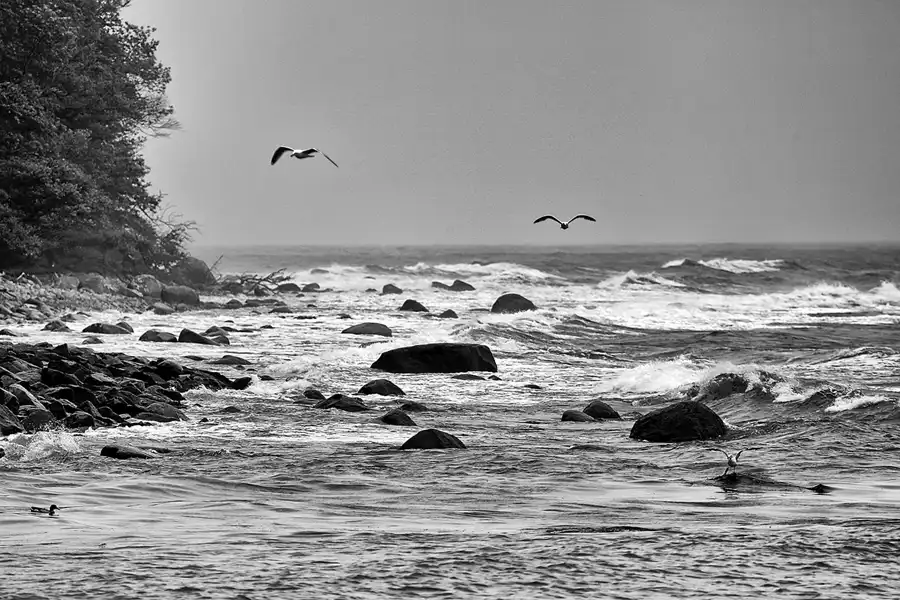 013 | 2019 | Lohme | © carsten riede fotografie