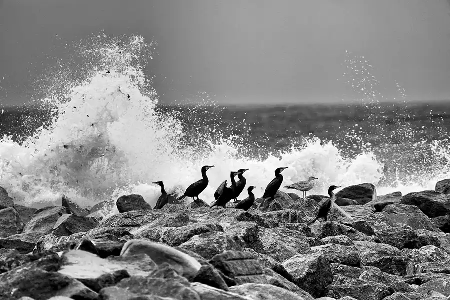 014 | 2019 | Lohme | © carsten riede fotografie