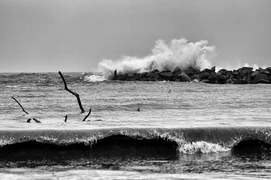 016 | 2019 | Lohme | © carsten riede fotografie