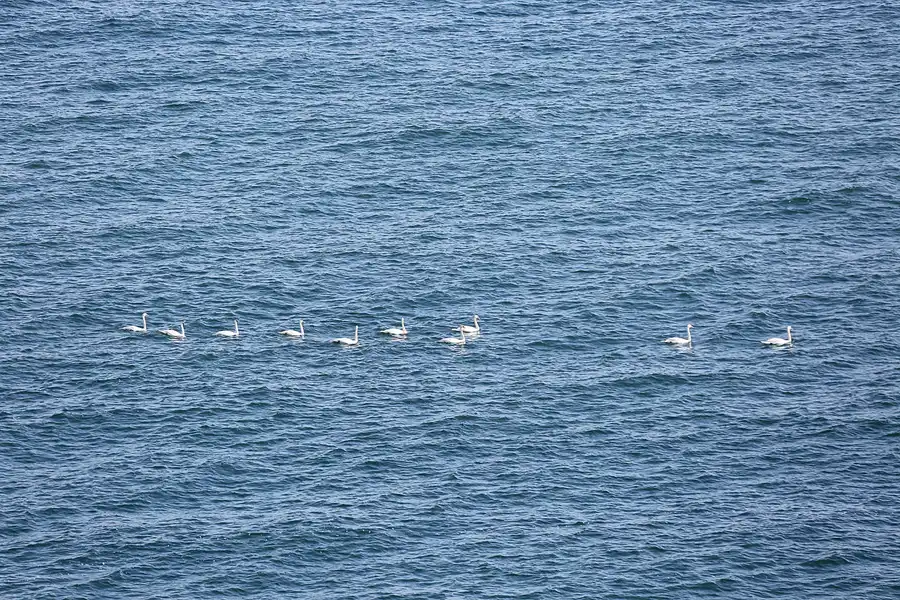 036 | 2019 | Lohme | © carsten riede fotografie