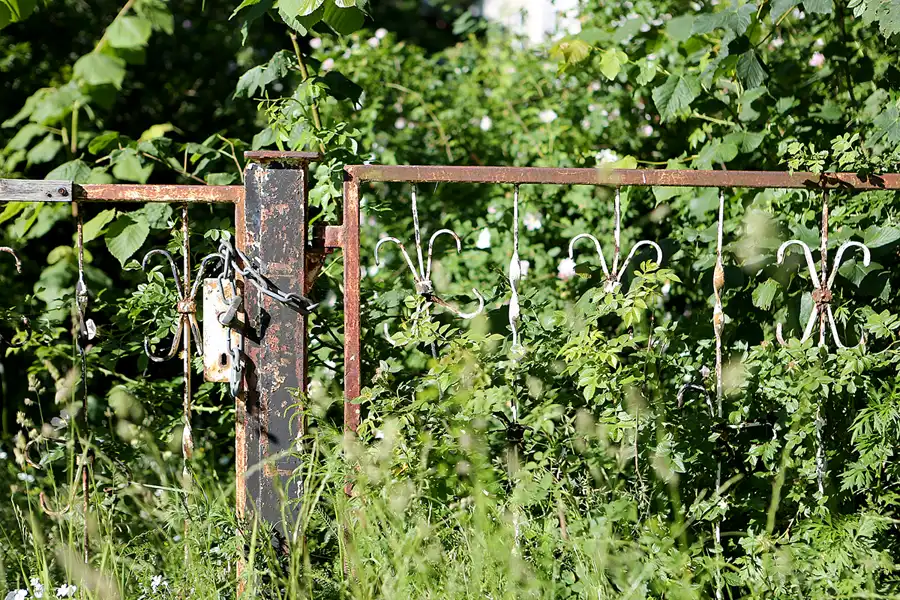 058 | 2019 | Lohme | © carsten riede fotografie