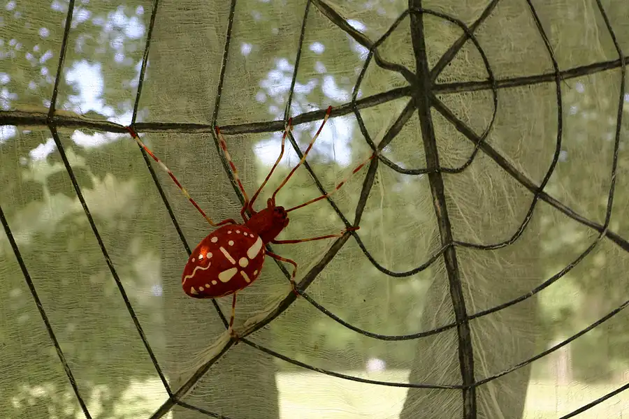 079 | 2019 | Pansevitz | Schlosspark | © carsten riede fotografie