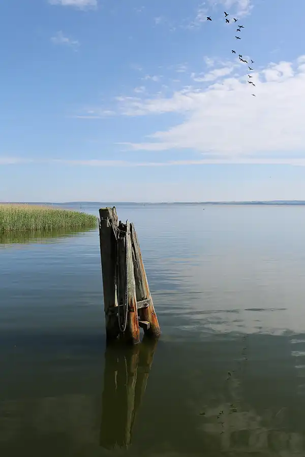 099 | 2019 | Ralswiek | © carsten riede fotografie