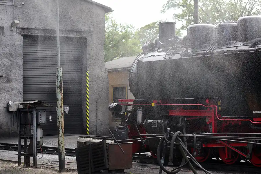 038 | 2019 | Putbus | Rasender Roland | © carsten riede fotografie