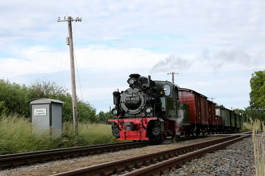 090 | 2019 | Posewald | Rasender Roland | © carsten riede fotografie